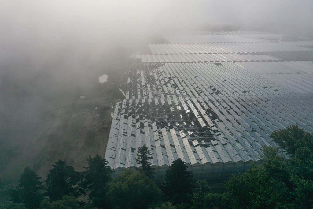 large greenhouse construction