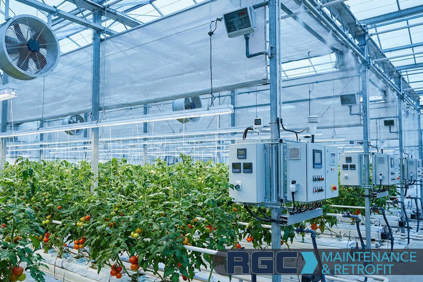 Greenhouse Heating and Energy Efficiency for Ontario Growers